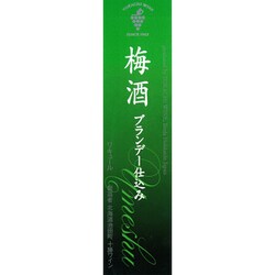 ヨドバシ.com - 十勝ワイン 梅酒 ブランデー仕込み １２度 500ml [梅酒