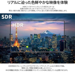 ヨドバシ.com - JAPANNEXT ジャパンネクスト JN-IPS2802UHDR [液晶