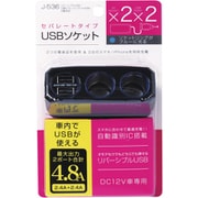 J-536 [リバーシブルUSB2連セパレート]
