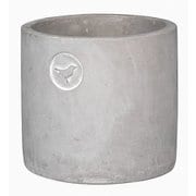 0134-136 [Flower Pot Bird S]