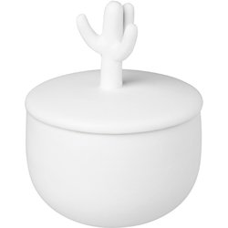 Little Jar Cactus 0134-725