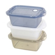 ピアンタ 抗菌フードコンテナ 300 300ml×3個セット ドライフラワー PCA378409