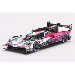 ヨドバシ.com - トゥルースケール TSM430719 1/43 アキュラ ARX-06 GTP