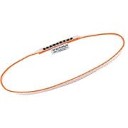 エクスプレス リング ダイニーマ 8.5mm 5321103 30cm [スリング]