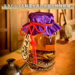 ヨドバシ.com - 南都酒造所 ハブ入り ハブ酒 35度 1800ml