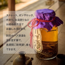 ヨドバシ.com - 南都酒造所 ハブ入り ハブ酒 35度 1800ml