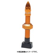 チューブ KCNC アルミチューブレスバルブ 100MM 35MM スレッド ゴールド 761076
