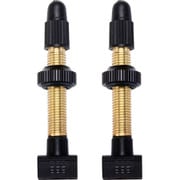 チューブ BBB チューブレスバルブ 48MM REMOVABLE CORE 2 BTI-159 762914