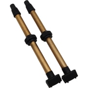 チューブ BBB チューブレスバルブ 80MM ブラス REMOVABLE CORE 2PCS BTI-159 762948