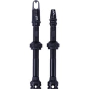 チューブパーツ BBB バルブ リムーバブル コア 60MM 2PCS ブラック BTI-160 762961