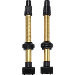 ホイールパーツ BBB チューブレスバルブ 60MM リムーバブルコア 2PCS ブラス BTI-159 829069