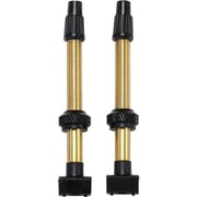 ホイールパーツ BBB チューブレスバルブ 60MM リムーバブルコア 2PCS ブラス BTI-159 829069