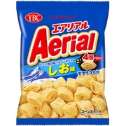 エアリアル しお味 65g