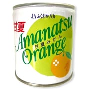 甘夏みかん缶詰 295g