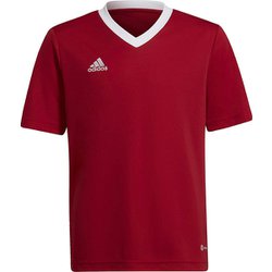 Adidas tabela 14 clearance jersey