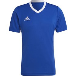 ENTRADA22 ジャージ ZG486 HG6283 RB J2XOサイズ [サッカーウェア シャツ メンズ]