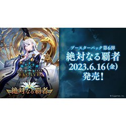 ヨドバシ.com - ブシロード Shadowverse EVOLVE ブースターパック第6弾 