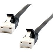 LANケーブル CAT6A フラット 2m ブラック EAT6AF-2BK