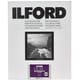 ILFORD マルチグレード RC デラックス 44M（半光沢） 50.8×61cm 10枚 800235
