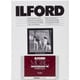 ILFORD マルチグレード RC ポートフォリオ 44K 12.7×17.8cm 100枚 800277