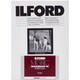 ILFORD マルチグレード RC ポートフォリオ 44K 20.3×25.4cm 25枚 800278
