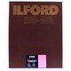 ILFORD マルチグレード RC ウォームトーン 1M 27.9×35.6cm 50枚 800305