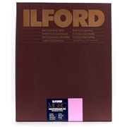 ILFORD マルチグレード RC ウォームトーン 1M 27.9×35.6cm 50枚 800305