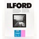 ILFORD マルチグレード FB クールトーン 1K 40.6×50.8cm 50枚 800443