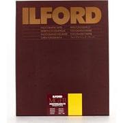 ILFORD マルチグレード FB ウォームトーン 24K 20.3×25.4cm 100枚 800463