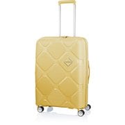 スーツケース INSTAGON（インスタゴン） 69cm 拡張タイプ 旅行日数目安：4～6泊 79L/拡張時87L TSAロック搭載 パステルイエロー HJ4-26002