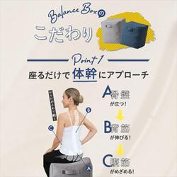 ヨドバシ.com - ジムテリア gymteria バランスボックス クラシック