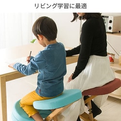 ヨドバシ.com - 宮武製作所 プロポーションチェアキッズ CH