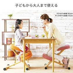 ヨドバシ.com - 宮武製作所 プロポーションチェアキッズ CH