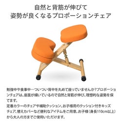 ヨドバシ.com - 宮武製作所 プロポーションチェア CH-88W RE