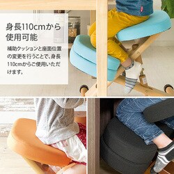 ヨドバシ.com - 宮武製作所 プロポーションチェア CH-88W RE