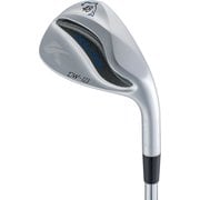 DW-123 ドルフィンウェッジ DynamicGold S200 #48 2023年モデル [ゴルフ ウェッジ]