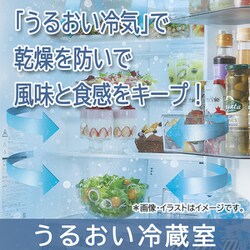 ヨドバシ.com - 東芝 TOSHIBA 冷蔵庫 VEGETA（ベジータ） FHシリーズ 