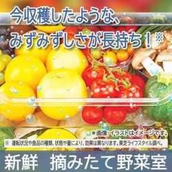 ヨドバシ.com - 東芝 TOSHIBA 冷蔵庫 VEGETA(ベジータ) FH ヨドバシ.com - 東芝 TOSHIBA 冷蔵庫 VEGETA(ベジータ) FH