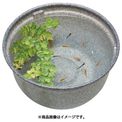 メダカ元気 メダカのための飼育鉢 みかげ 370