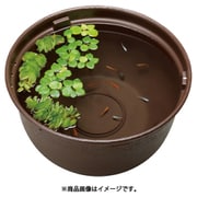 メダカ元気 メダカのための飼育鉢 こげ茶 370