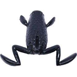房総蛙 ＃11 ブラック