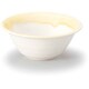 ボウル 11cm トキメキ色 陶器 美濃焼 レモン 262048