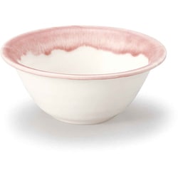 ボウル 11cm トキメキ色 陶器 美濃焼 プラム 262049
