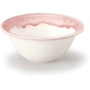 ボウル 11cm トキメキ色 陶器 美濃焼 プラム 262049