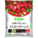 ストロベリーの土 5L