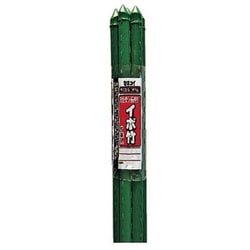 イボ竹 5本パック 11×900