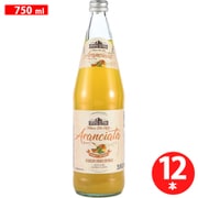 スプーマ・アルピーナ スパークリングオレンジ 750ml×12本