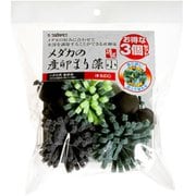 S-5809 [メダカの産卵まり藻（小） 3個入]