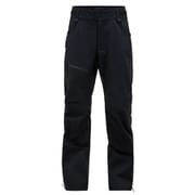 アルパイン GORE-TEX 3L パンツ Alpine Gore-Tex Pants G79270 BLACK Sサイズ [スキーウェア パンツ メンズ]