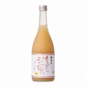梅乃宿 あらごしジンジャー 15度 720ml [リキュール]